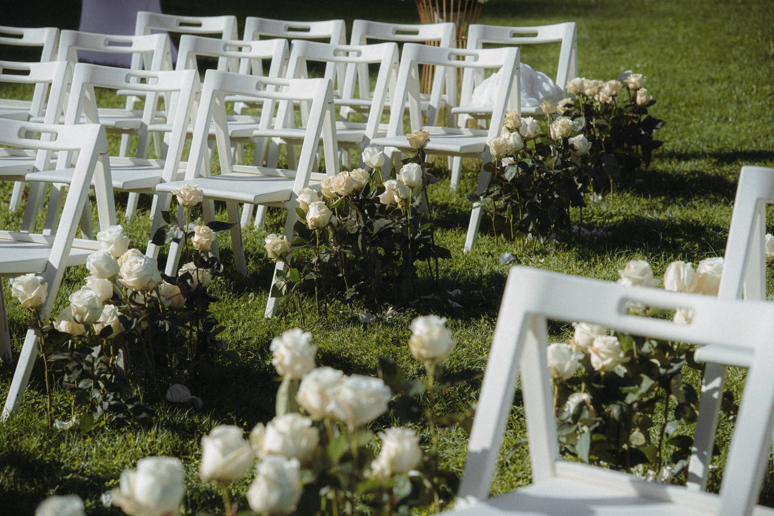Outdoor wedding ceremony seating with white roses